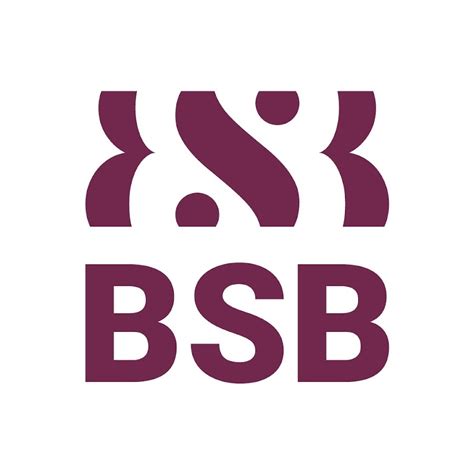 Burgundy School of Business BSB - YouTube