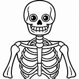 Printable skeleton coloring Pages For free  Coloring Fun Zone sketch template