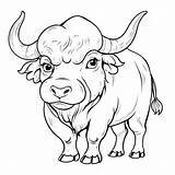 Water buffalo coloring Page Coloring Jungle sketch template