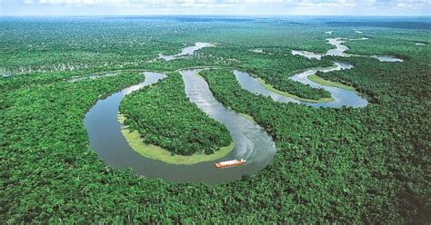 5-five-5: Amazon River (Brazil)