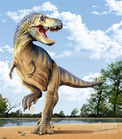 Tyrannosaurus rex by Mohamad Haghani | Dinosaurierbilder, Dinosaurier ...