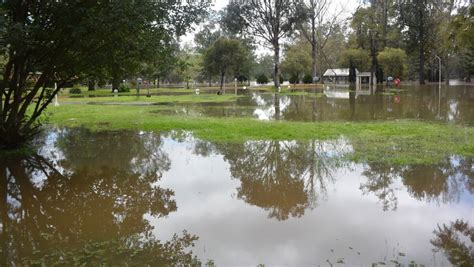 Stagnant water carries threat of disease | Daily Liberal | Dubbo, NSW