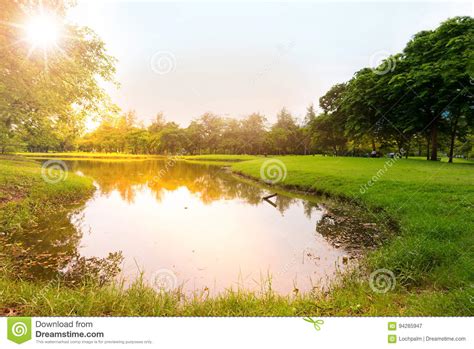 Sunset in city park. stock image. Image of sunrise, sunlight - 94285947