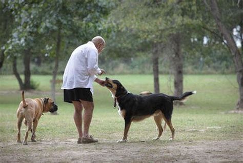 Get free admission to all Kalamazoo County parks on June 21 - mlive.com