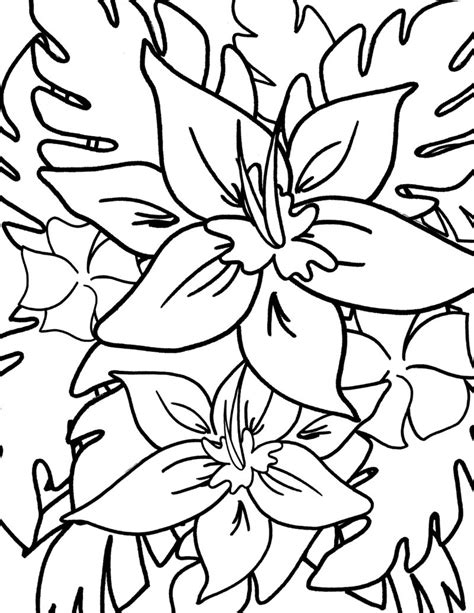 Hawaiian Flower Printable Coloring Pages | Best Flower Site