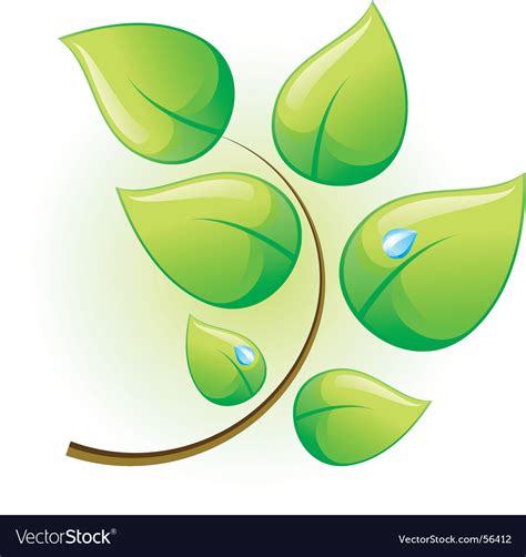 Branch Royalty Free Vector Image - VectorStock