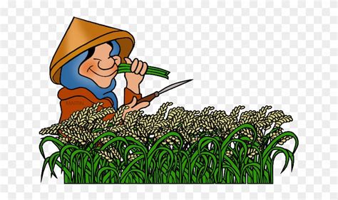 Rice - Farming Clip Art - Free Transparent PNG Clipart Images Download