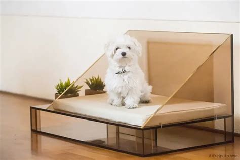 Outrageously Modern Designer Dog Beds by Cucce d' Arredo | If It's Hip ...