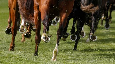 Stay up-to-date with racing and bloodstock in Australia and New Zealand | Bloodstock News ...