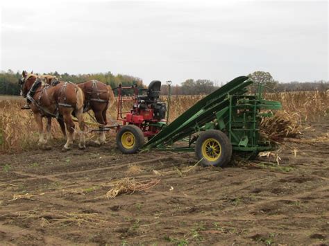 Kim Hadwen: Pioneer Horse Equipment