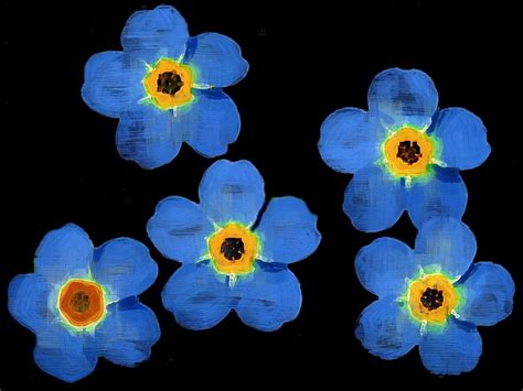 All This Is That: Forget-me-nots
