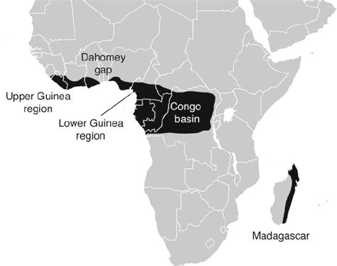 3 Distribution of tropical rainforest ( black ) in Africa and ...