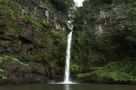 Why the Wet Tropics is an Area of Beauty | Tropical North QLD