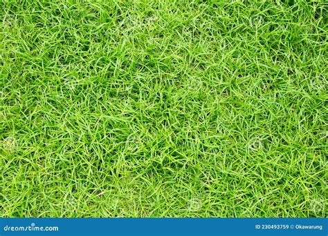 Green Grass Floor Texture Ideal for Use in the Design Backgroung Stock Image - Image of spring ...