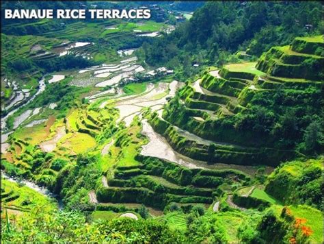 wonders in the philippines... rice terraces in baguio | Banaue rice terraces, Rice terraces, Banaue