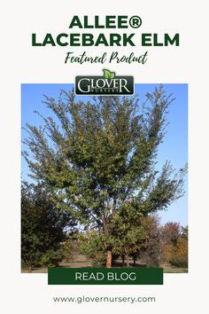 Now is a great time to plant a tree! A product we love this month is ...