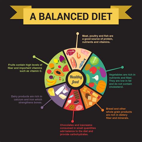 The Key to Proper Nutrition: A Balanced Diet - Infographic