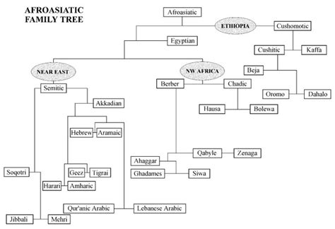 Language Family Trees – Nearly 7,000 Languages in World | Language family tree, Family tree ...