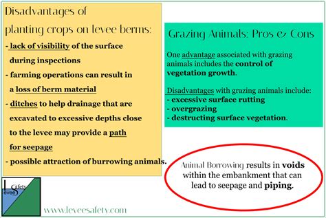 WHAT IS A LEVEE? – Levee Safety