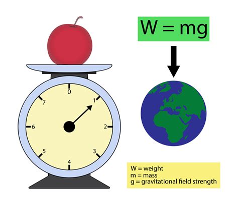 What is the difference between mass and weight?