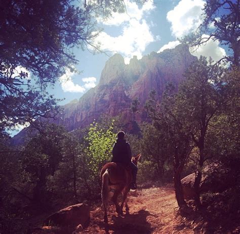 Zion national park Utah horseback tour ~ amazing hikes Zion National Park, National Parks ...