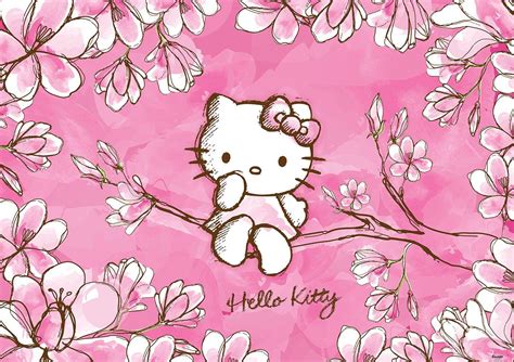 Hello Kitty Spring Wallpapers - Top Free Hello Kitty Spring Backgrounds - WallpaperAccess