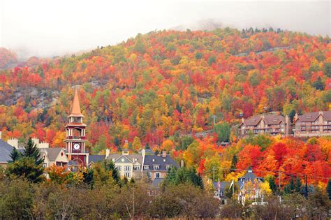 View fall foliage at Mont Tremblant — RE/MAX the Susan and Moe Team