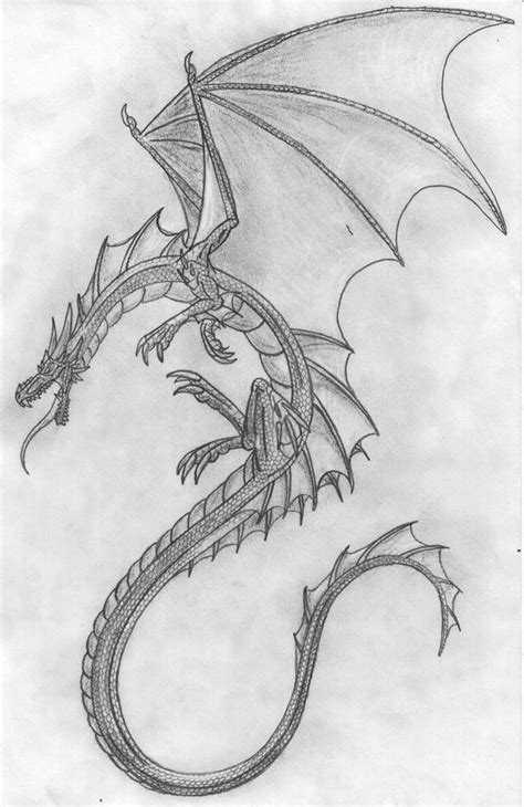 Cool Dragon Sketches at PaintingValley.com | Explore collection of Cool ...