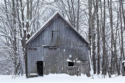 Old Barn In Winter Woods Photograph by Alan L Graham - Fine Art America