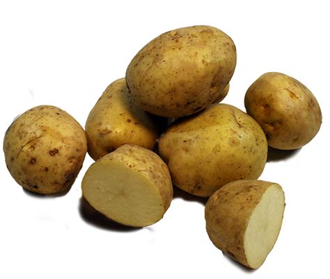 The Kennebec Potato