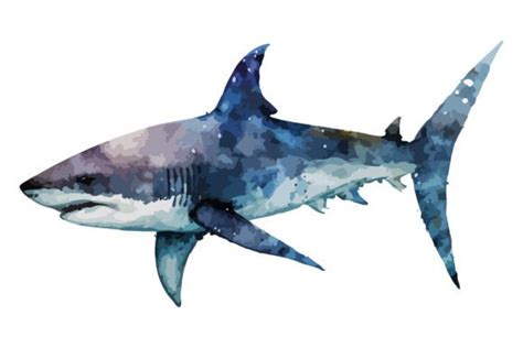 Watercolor Shark Vector Illustration Graphic by BreakingDots · Creative ...