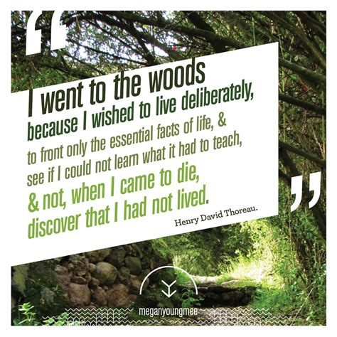 Into the Woods Quotes. QuotesGram