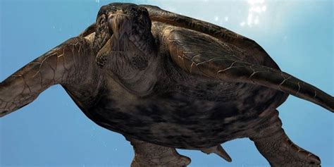 Archelon ischyros – the largest known turtle | DinoAnimals.com