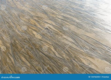 Ripple marks on sand beach stock photo. Image of seashore - 134766430