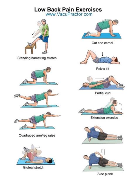 22 best Back Pain Relief Exercise images on Pinterest | Back pain relief, Exercise for back pain ...