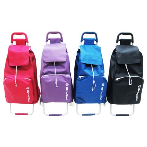 SHOPPING CART W/FRONT COOLER BAG Asst-08