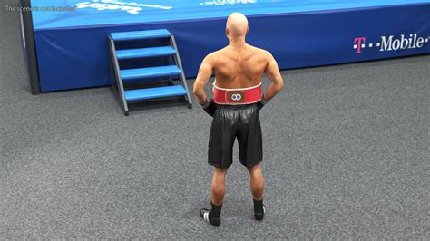 IBF Boxing Champion 3D Model $149 - .3ds .blend .c4d .fbx .max .ma .lxo ...