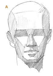 Details more than 71 human face anatomy sketches best - seven.edu.vn