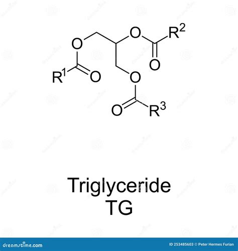 Triglyceride, Also Triacylglycerol or Triacylglyceride Chemical Structure Stock Vector ...