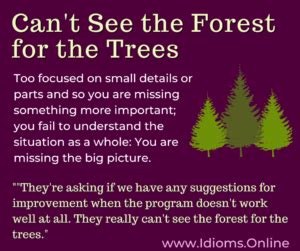 Can’t See the Forest for the Trees | Idioms Online