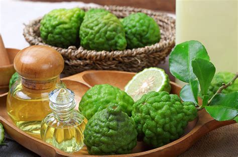 The 6 Best Bergamot Essential Oil Recipes | WellMe