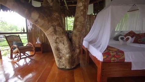 60' Treehouses in the Amazon Rainforest [Video] | Tree house, Luxury ...