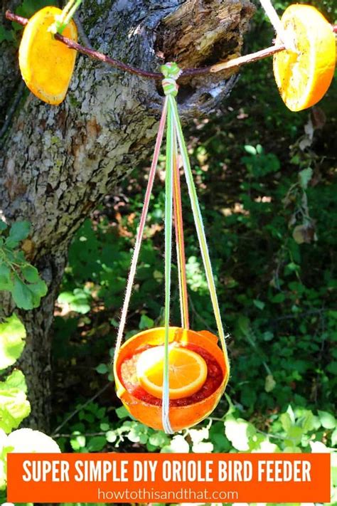 DIY Oriole Bird Feeder- EASY , FUN for Kids, BUDGET FRIENDLY | Oriole bird feeders, Diy bird ...