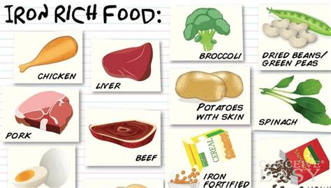 Iron Rich Foods to Battle Anemia in Pregnancy - ConceiveEasy