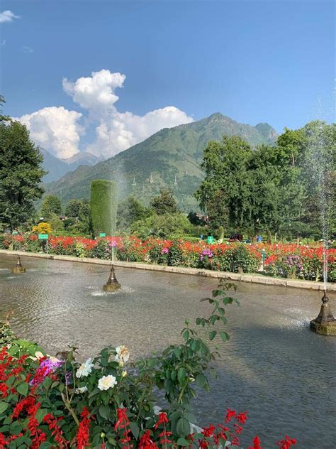 Famous Gardens Of Kashmir | Fasci Garden