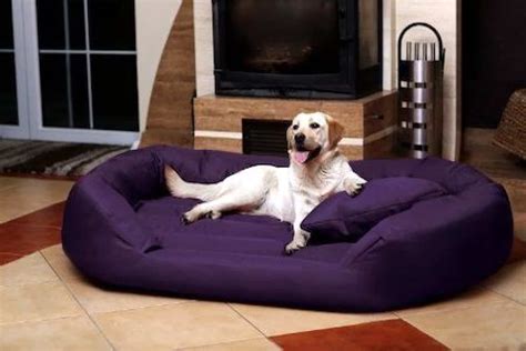 5 Best Large Dog Beds for Big Breeds [Top Recommendations & Guide]