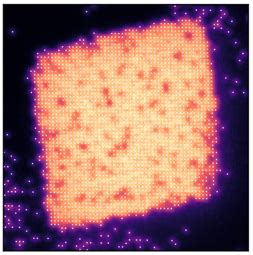 Cs Quantum Gas Microscope - Synthetic Quantum Matter Group - LMU Munich