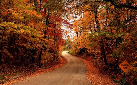 Fall Road Wallpaper - WallpaperSafari