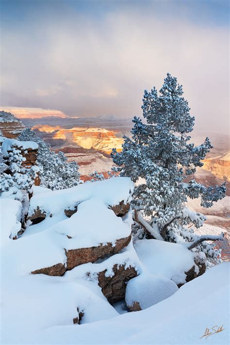 Winter on the Rim | Grand Canyon National Park | Fine Art Landscape Photography and Photo ...