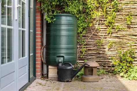 From Sky to Soil: The Benefits of Rain Barrels in Your Garden